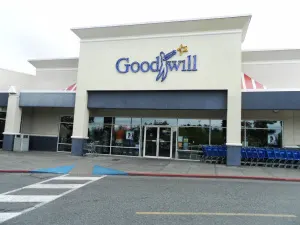 Goodwill