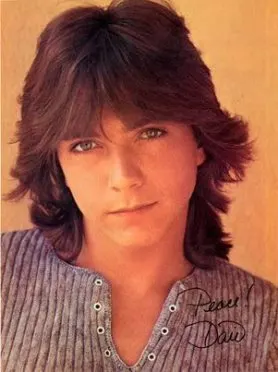 David Cassidy (from DavidCassidyFansite.com)
