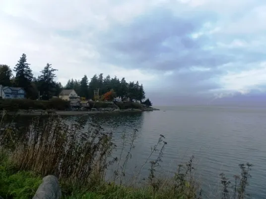 Lummi Island Shoreline